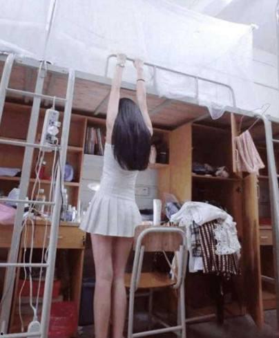 女生宿舍4,揭秘青春岁月里的温馨时光”