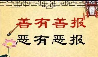 恶有恶报,因果循环的永恒法则