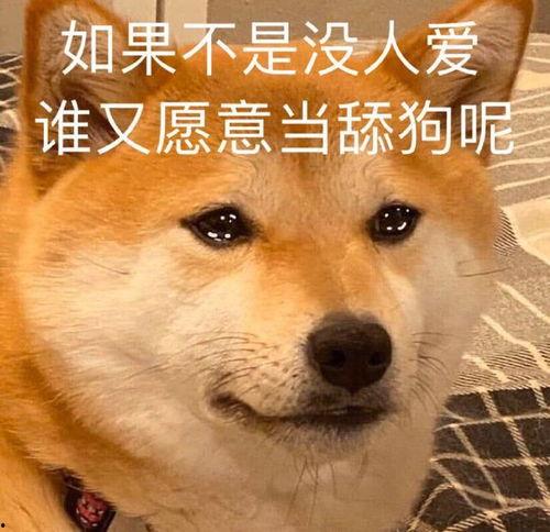 舔狗我不当了我要追校草,我的校草追求之路